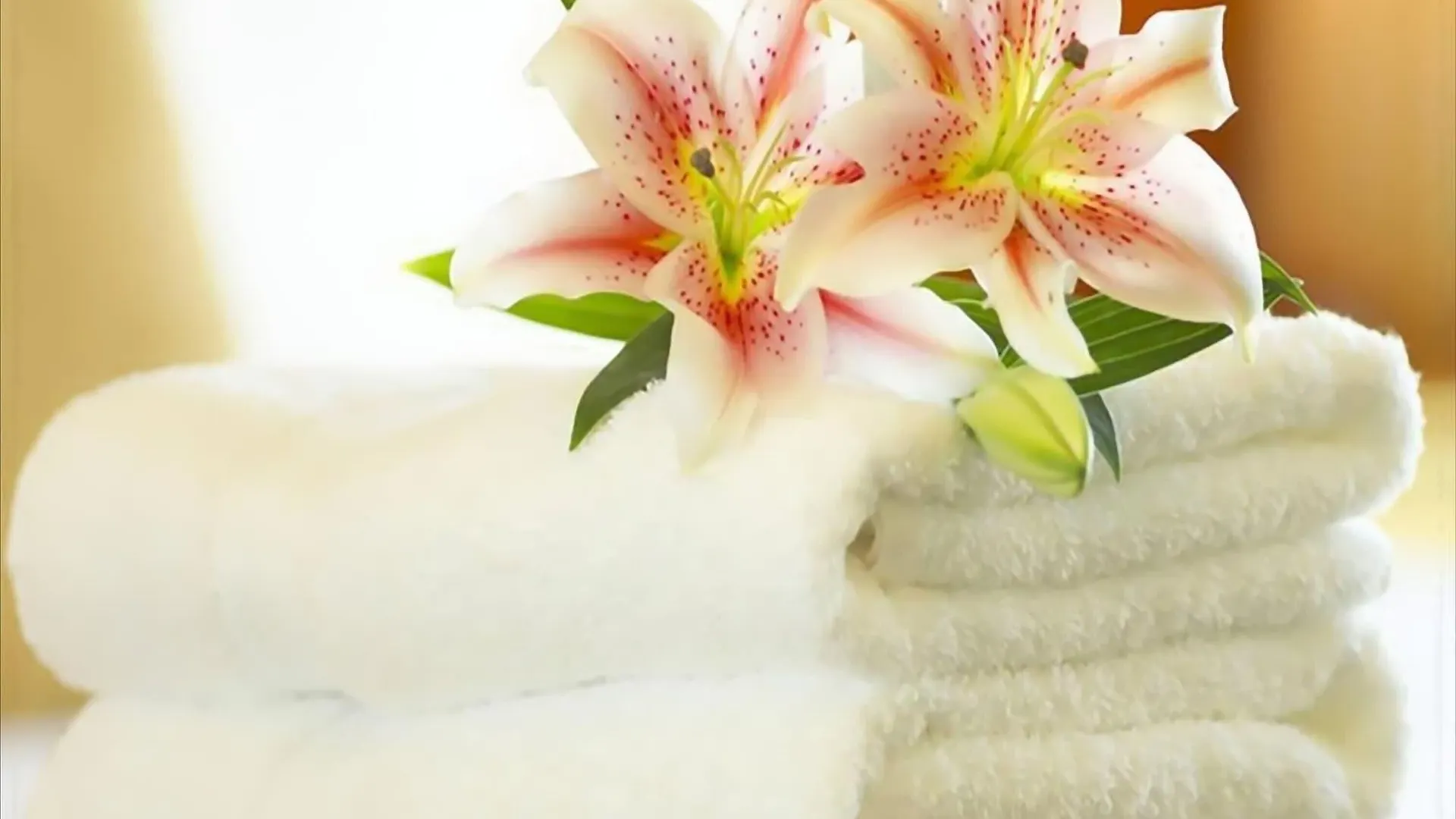 Hotel Palace Bibione